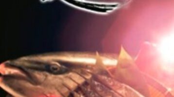 tvc_preview2-358×333